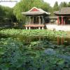 Serenity
Beijing, China
