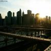 Time to Shine
Brooklyn Bridge
