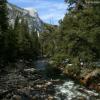 Hiking in the Woods
Yosemite National Park, CA