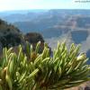 Above the Canyon
Grand Canyon, AZ