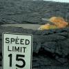 Road No More
Hawaii