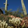 Desert Trails
Arizona