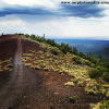 Open Trail Ahead
Flagstaff, AZ