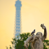 Jardin des Tuileries
Paris, France