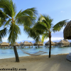 Perfect Hammock Nap
Moorea, Tahiti