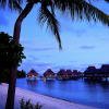 Palm Over Dusk
Bora Bora, Tahiti