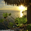 Sunset From Bungalow
Bora Bora, Tahiti