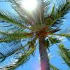 Laying out, Looking Up
Hawaii