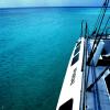 True Blue
Grand Turk