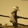 Young Cowboy
New Mexico
