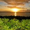 Pau Hana
Maui, Hawaii