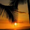 My Traditional Point of View
Oahu, Hawaii