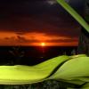 Leafy
Hawaii
