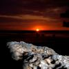 Moon Rock
Hawaii