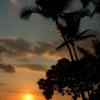 After Dinner Show
Hawaii
