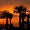 Palmset
Gulf Shores, AL