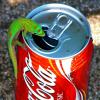 Nature Meets Pop Culture
Hawaii
