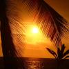 Sunset Silhouette
Hawaii